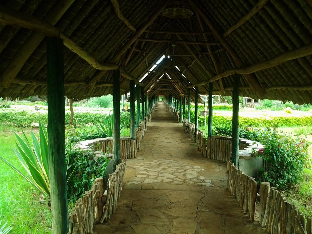 Aa Amboseli-Nationalpark