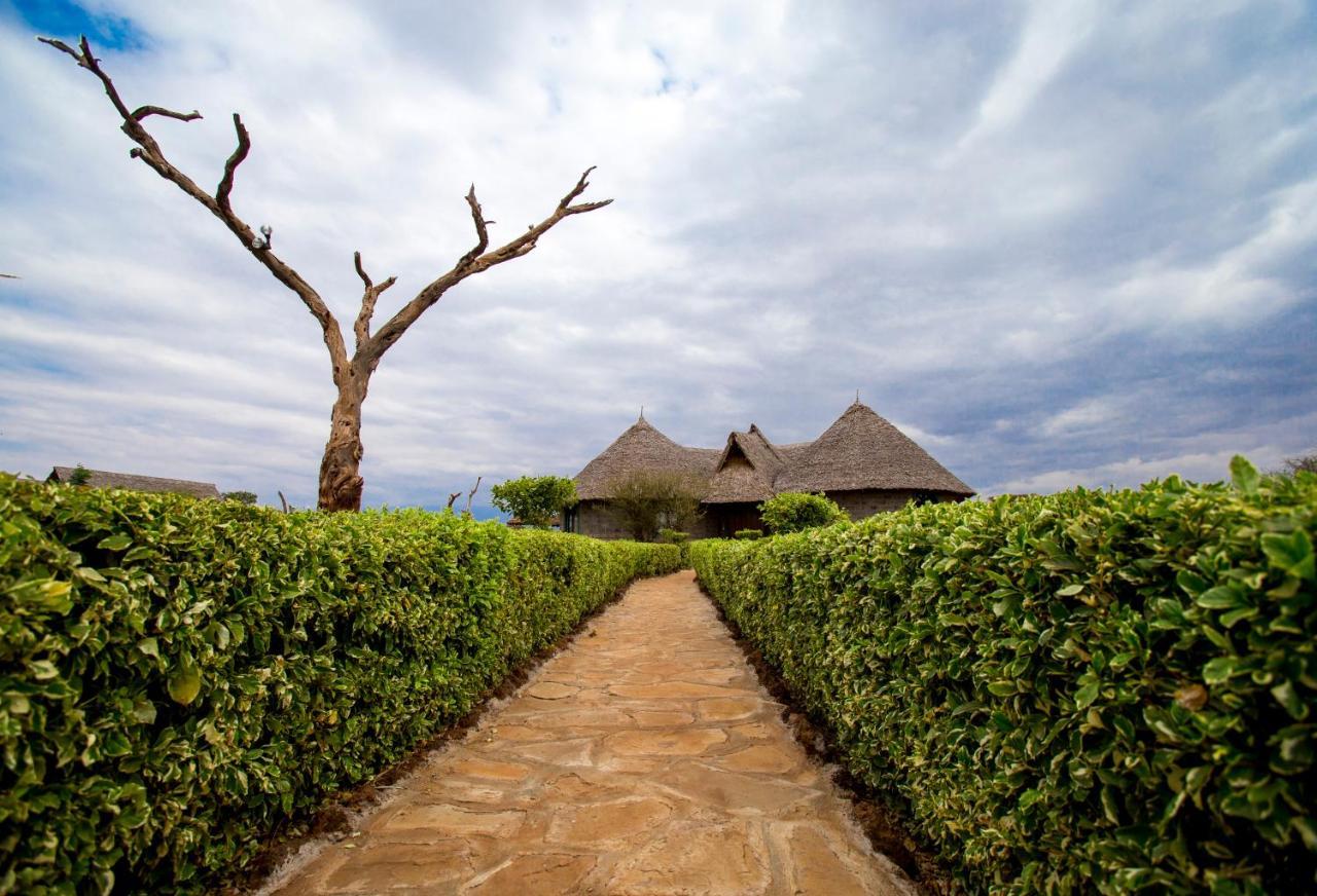 Aa Amboseli-Nationalpark