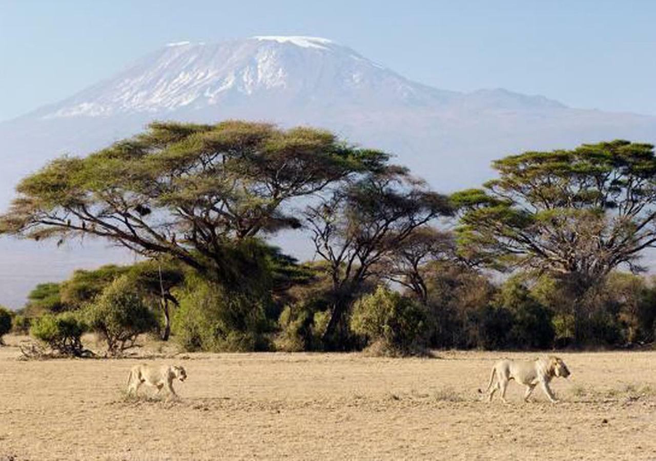 Aa 5* Amboseli-Nationalpark