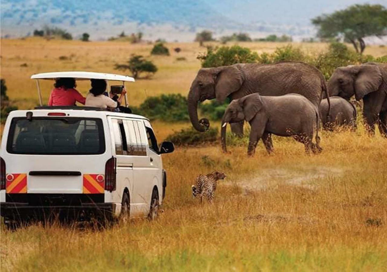 Aa Amboseli-Nationalpark